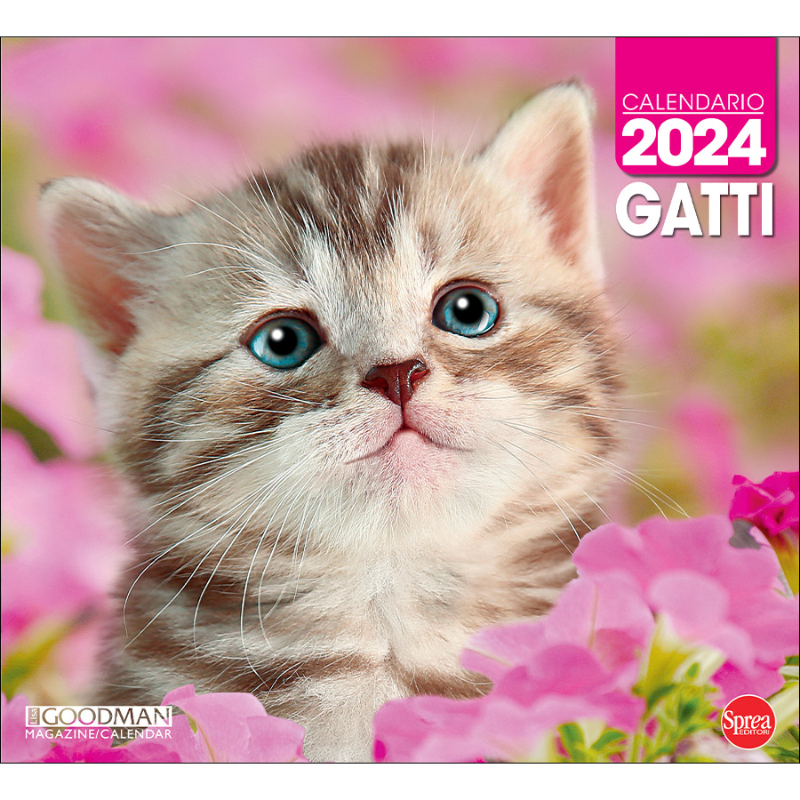 CALENDARIO GATTI 2024 – Lisa Goodman Calendar