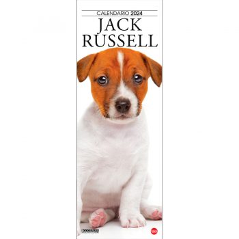 I-COP_JACKRUSSELL_2024